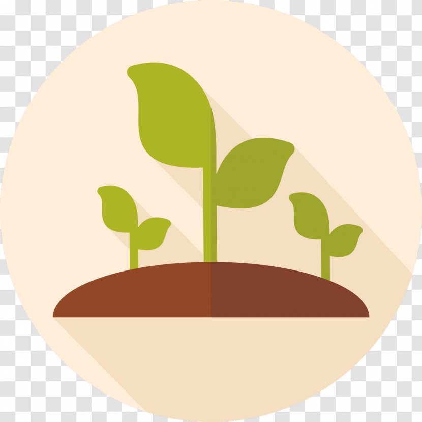 Drawing Photography - Green - Sprout Transparent PNG