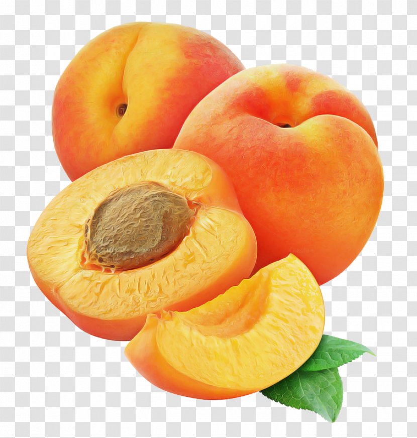 Orange - Plant - Apricot Kernel Superfood Transparent PNG