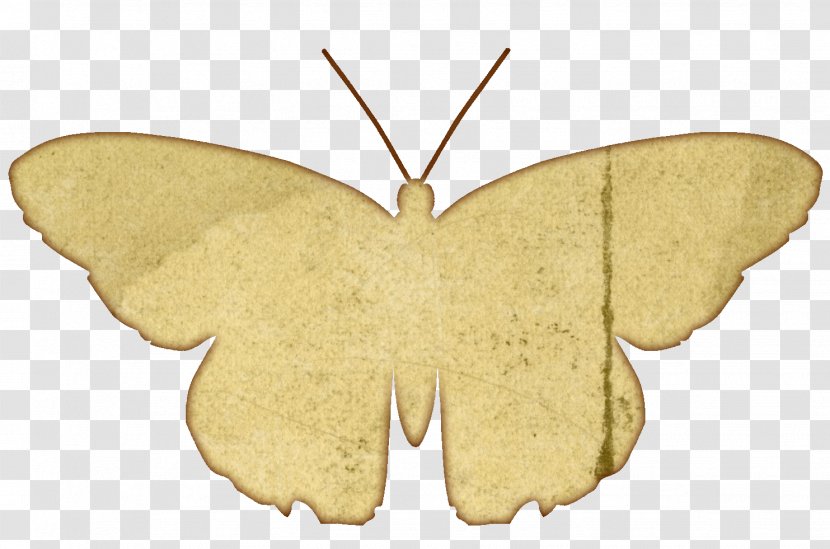 Butterfly Paper Moth Printing YouTube - Label - Stamp Transparent PNG