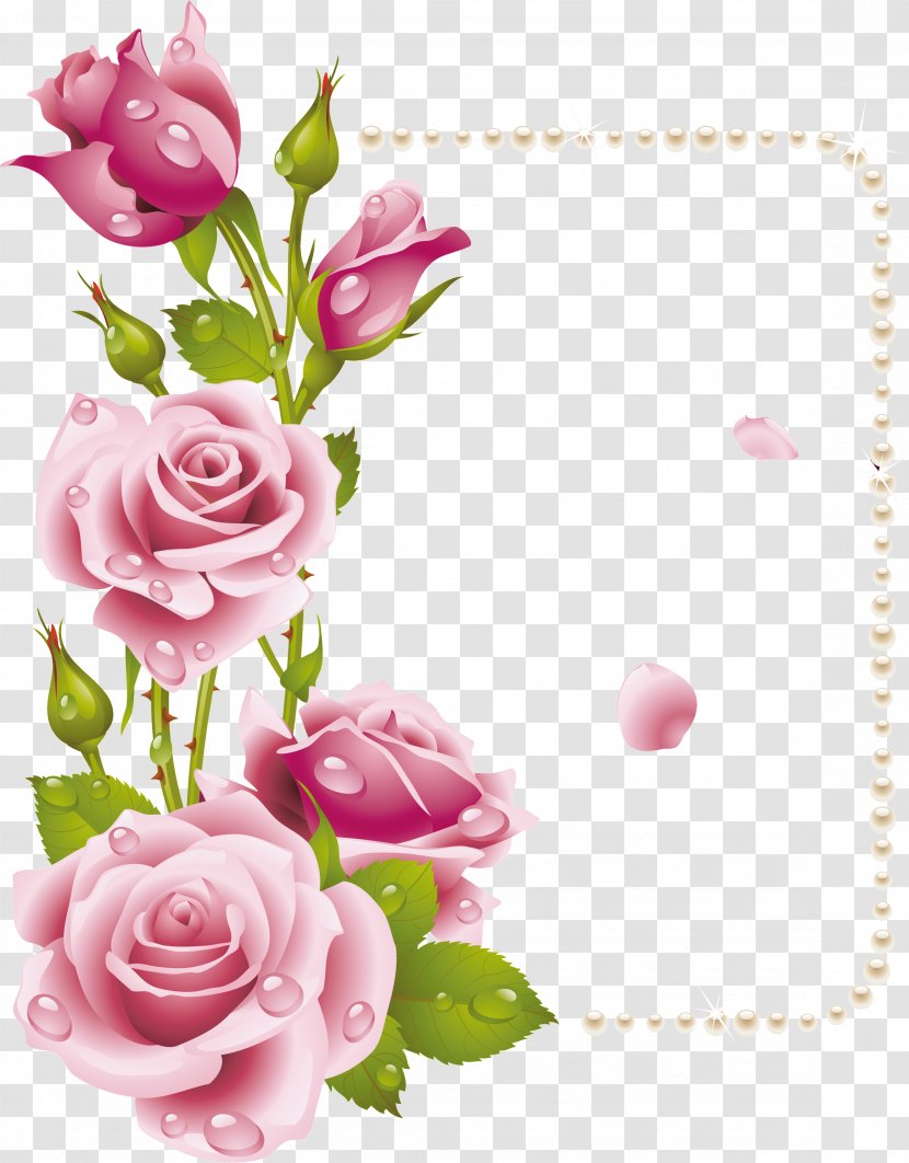 Rose Flower Picture Frames Pink Clip Art - 50 Transparent PNG