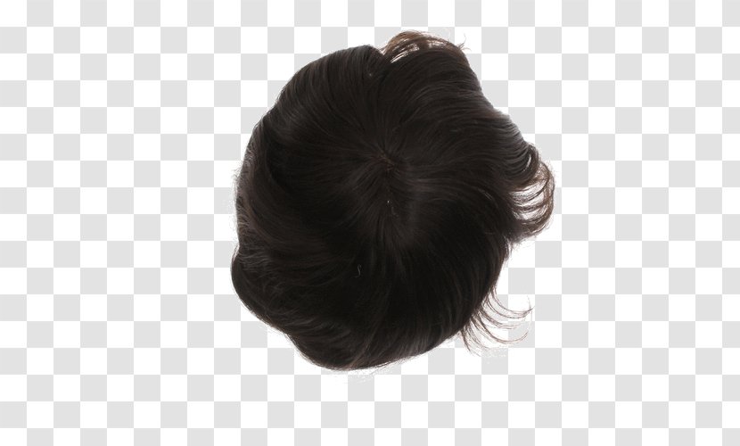 Lace Wig Long Hair Bun - Brown Transparent PNG