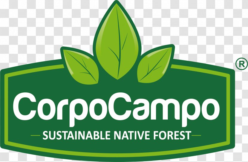 Corpocampo Web Development Açaí Palm - Brand - Alimento Saludable Transparent PNG