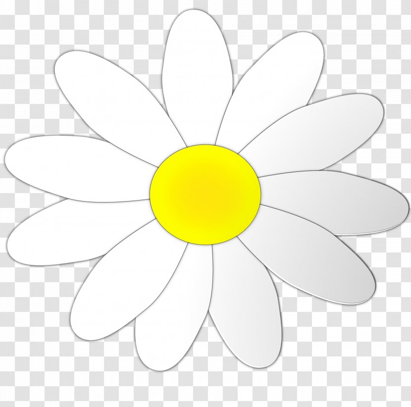 Flower Watercolor - Wildflower - Daisy Family Transparent PNG