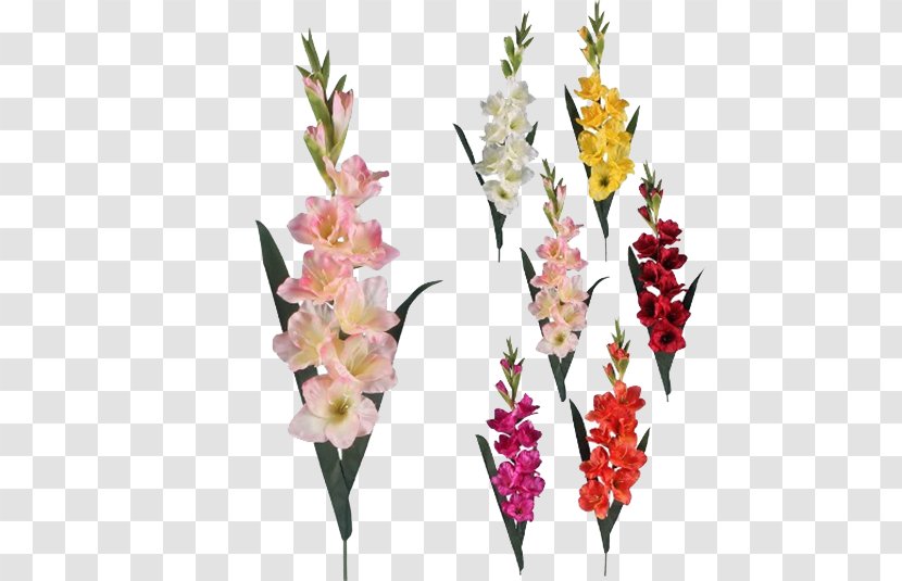 Gladiolus Artificial Flower Floristry - Transparent Background Transparent PNG