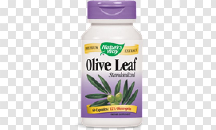 Dietary Supplement Olive Leaf Oleuropein Extract Transparent PNG