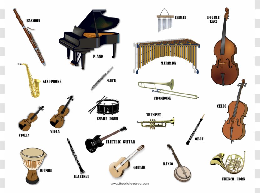 Musical Instrument String Flute Musician - Tree - Drawings Of Instruments Transparent PNG