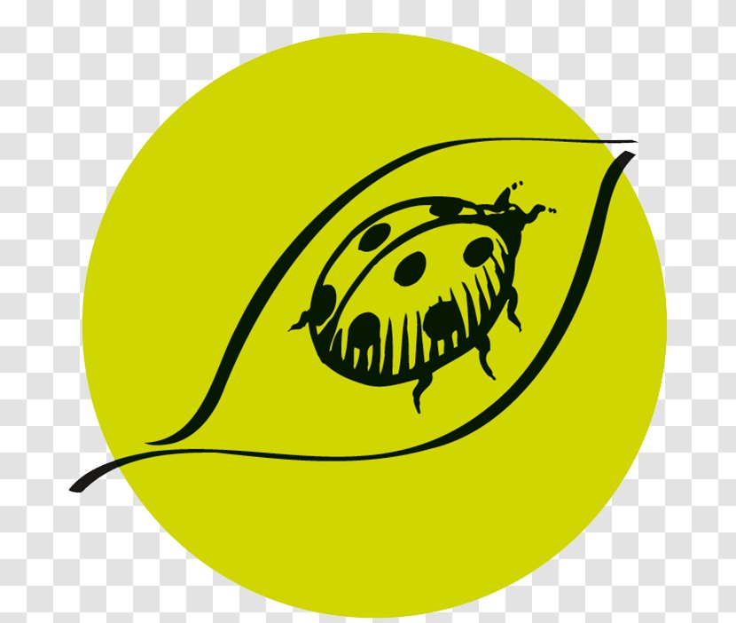 Wine Background - Logo - Leaf Beetle Transparent PNG
