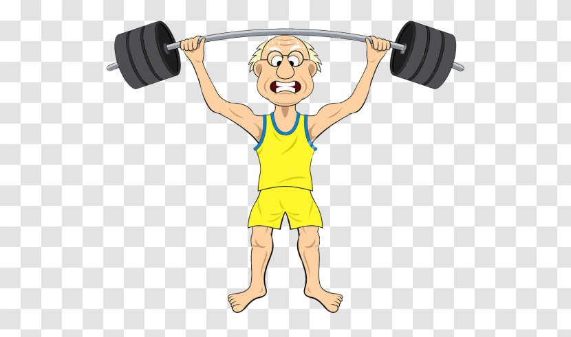 Weight Training Olympic Weightlifting Vector Graphics Clip Art Image - Exercise Equipment - Bodybuilding Transparent PNG
