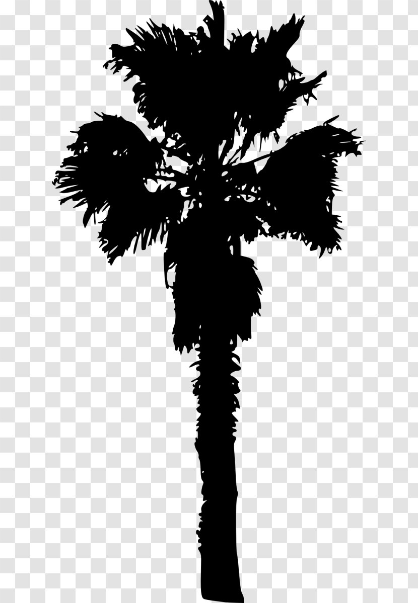 Palm Trees Plants Image - Silhouette - Family Tree Transparent PNG