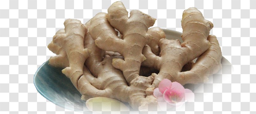 Mengzi Ginger Food Chinese Herbology - Disk Transparent PNG