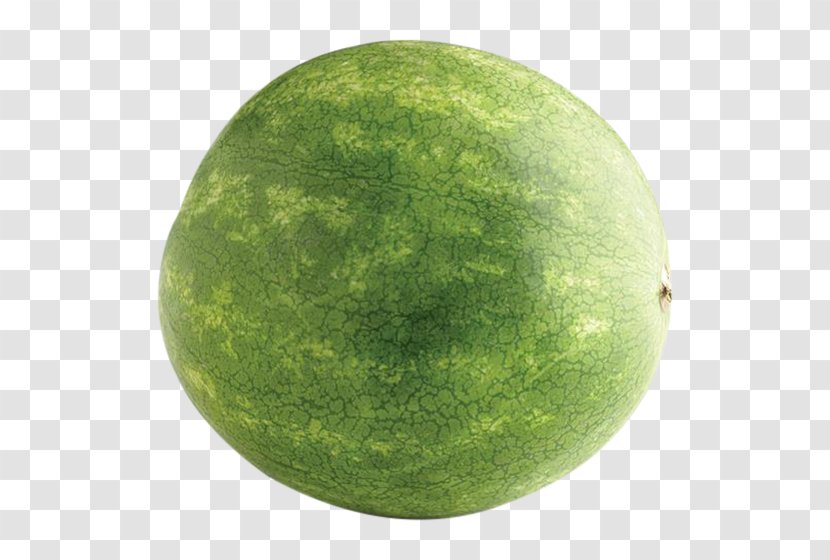 Watermelon Honeydew Fruit - Grocery Store Transparent PNG