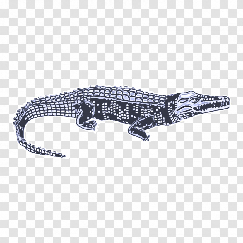 Crocodiles Jewellery Alligators Silver Transparent PNG