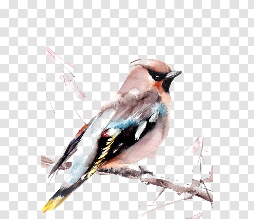 Bird Watercolor Painting Printmaking Art - Sparrow Transparent PNG
