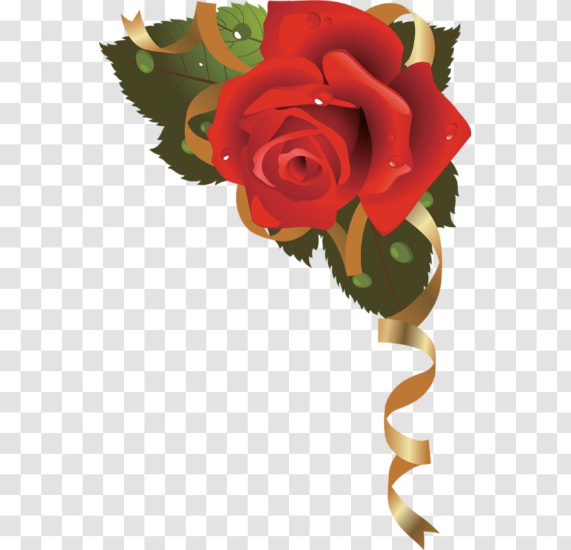 Paper Flower Rose - Arranging - Red Border Transparent PNG