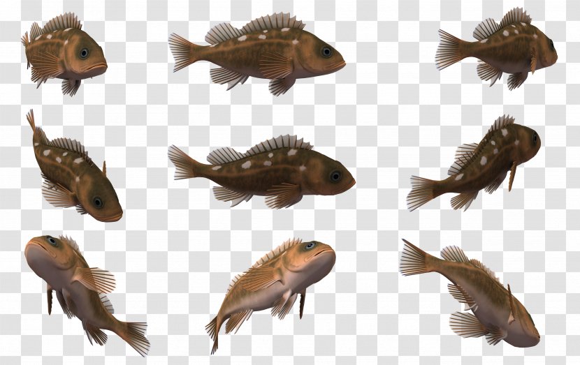 Fish Animal Clip Art - 3d Computer Graphics - Cartoon Transparent PNG