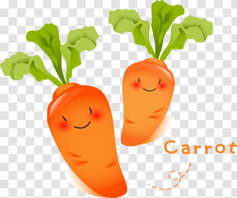 Carrot Vegetable Radish Food Fruit - Superfood Transparent PNG