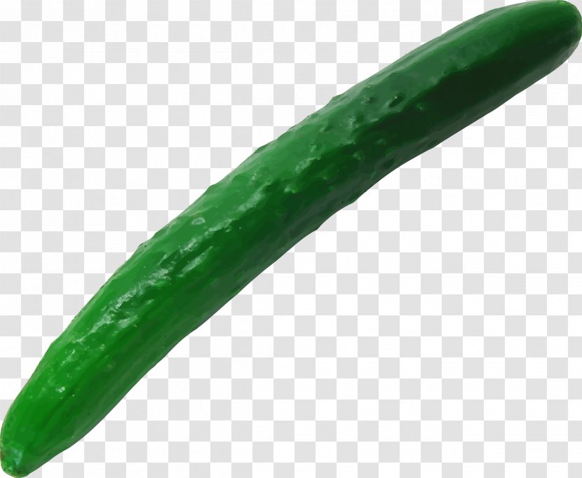 Pickled Cucumber Vegetable - Serrano Pepper Transparent PNG