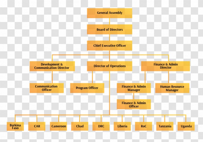 Organizational Structure Behavior Chart - Social Organization - International Nongovernmental Organisations Accoun Transparent PNG