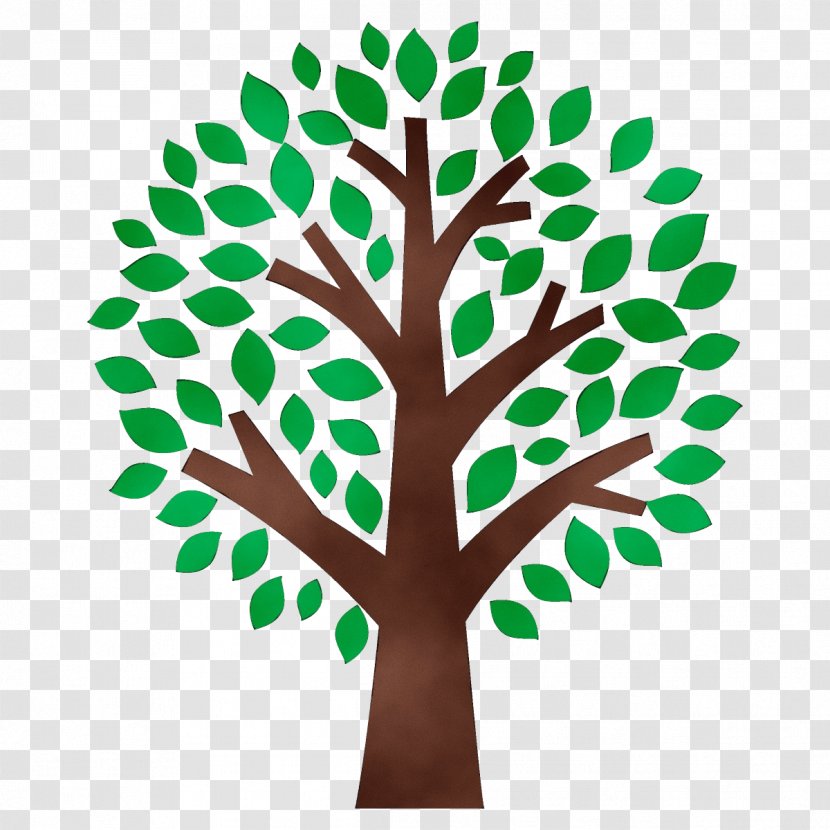 Green Leaf Tree Branch Plant - Stem Woody Transparent PNG