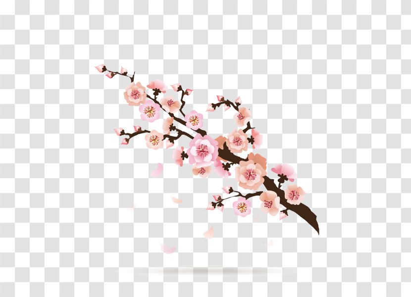 Plum Blossom Cartoon U0e01u0e32u0e23u0e4cu0e15u0e39u0e19u0e0du0e35u0e48u0e1bu0e38u0e48u0e19 - Television - Cherry Blossoms,Pattern,Light Pink Transparent PNG