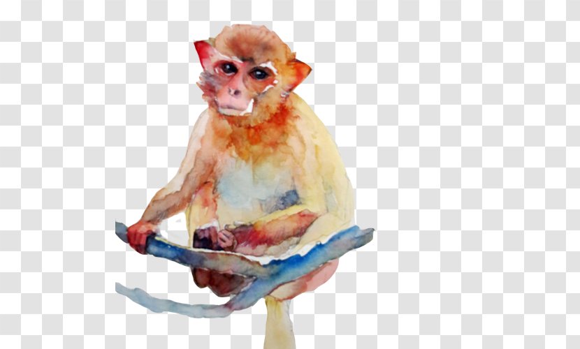 Cercopithecidae Watercolor Painting Monkey - Snubnosed - Golden Picture Material Transparent PNG