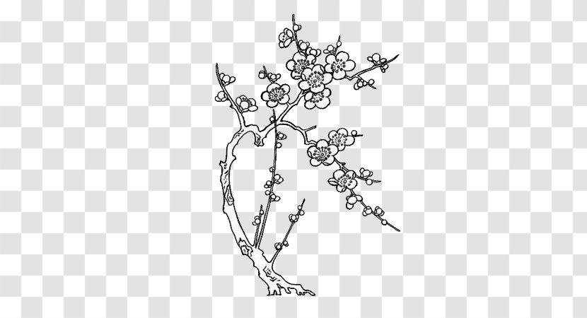 Paper Drawing Line Art Cherry Blossom - Plum Flower Transparent PNG