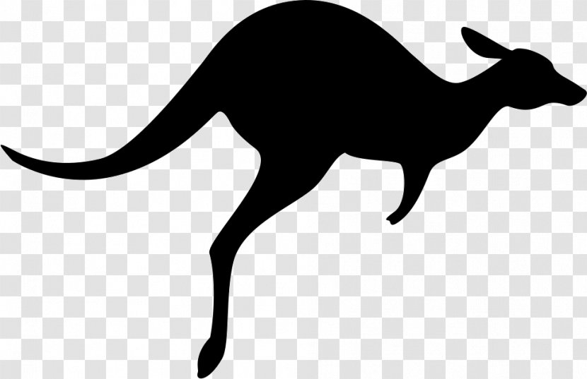 Australia Macropodidae Kangaroo Wallaby - Horn Transparent PNG