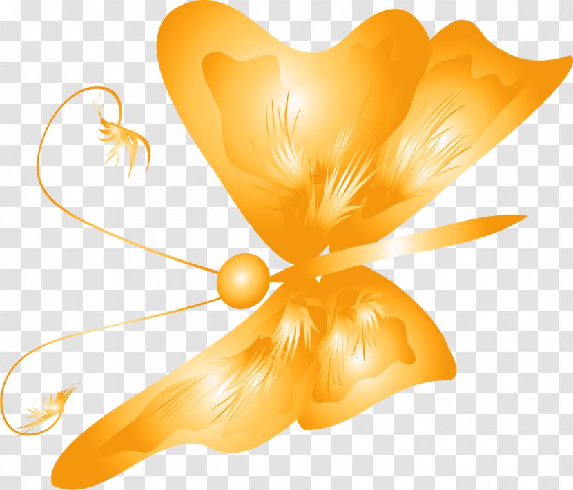 Art Clip - Petal - Butterfly Transparent PNG