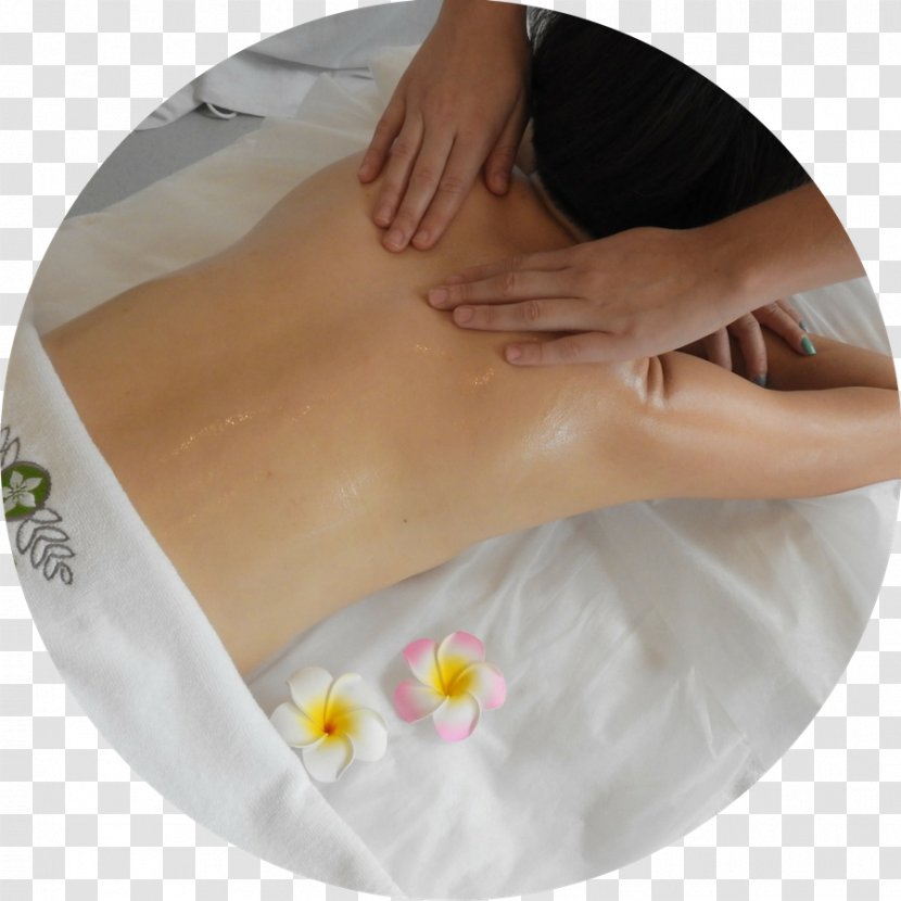 Massage Alternative Health Services North Dakota Medicine Professional - Massages Transparent PNG