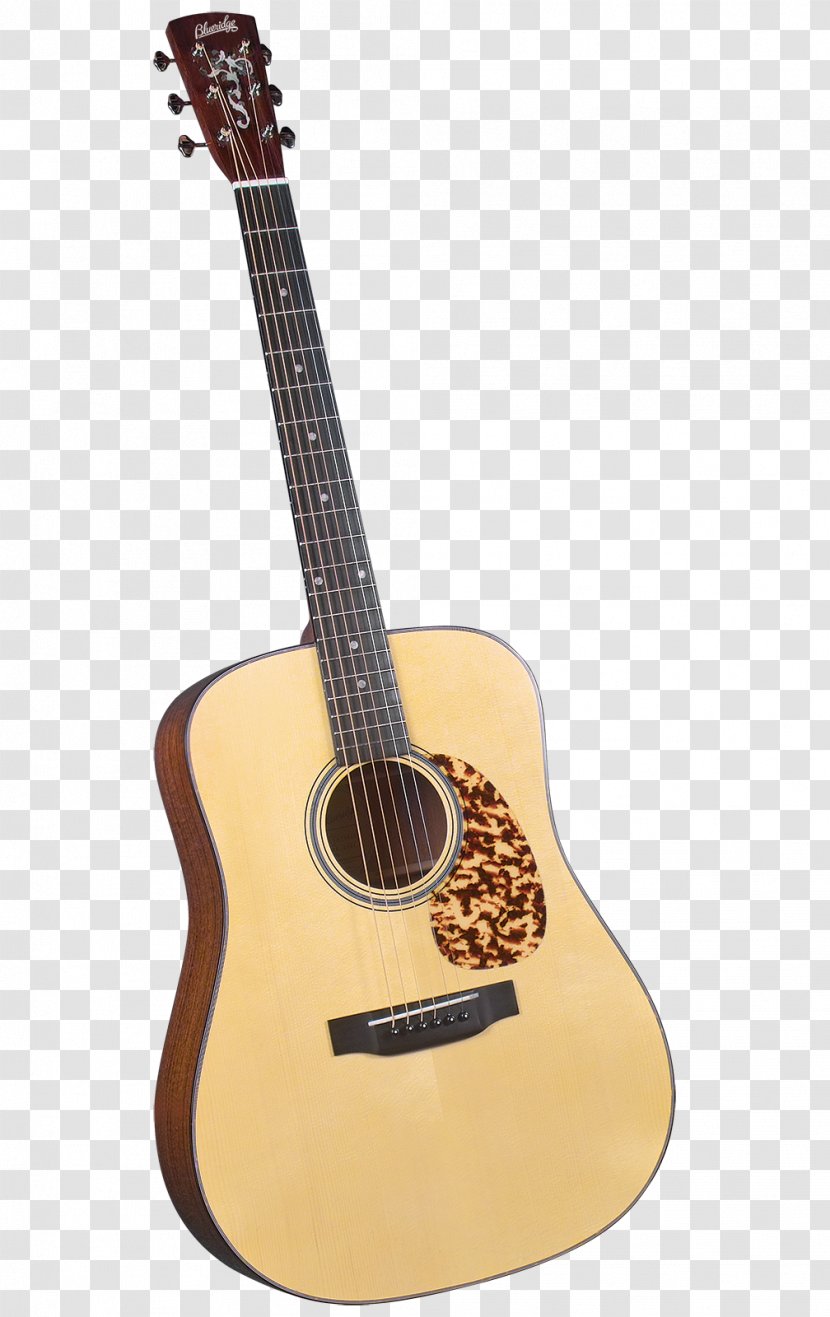 Steel Guitar Dreadnought Acoustic Musical Instruments - Tree Transparent PNG