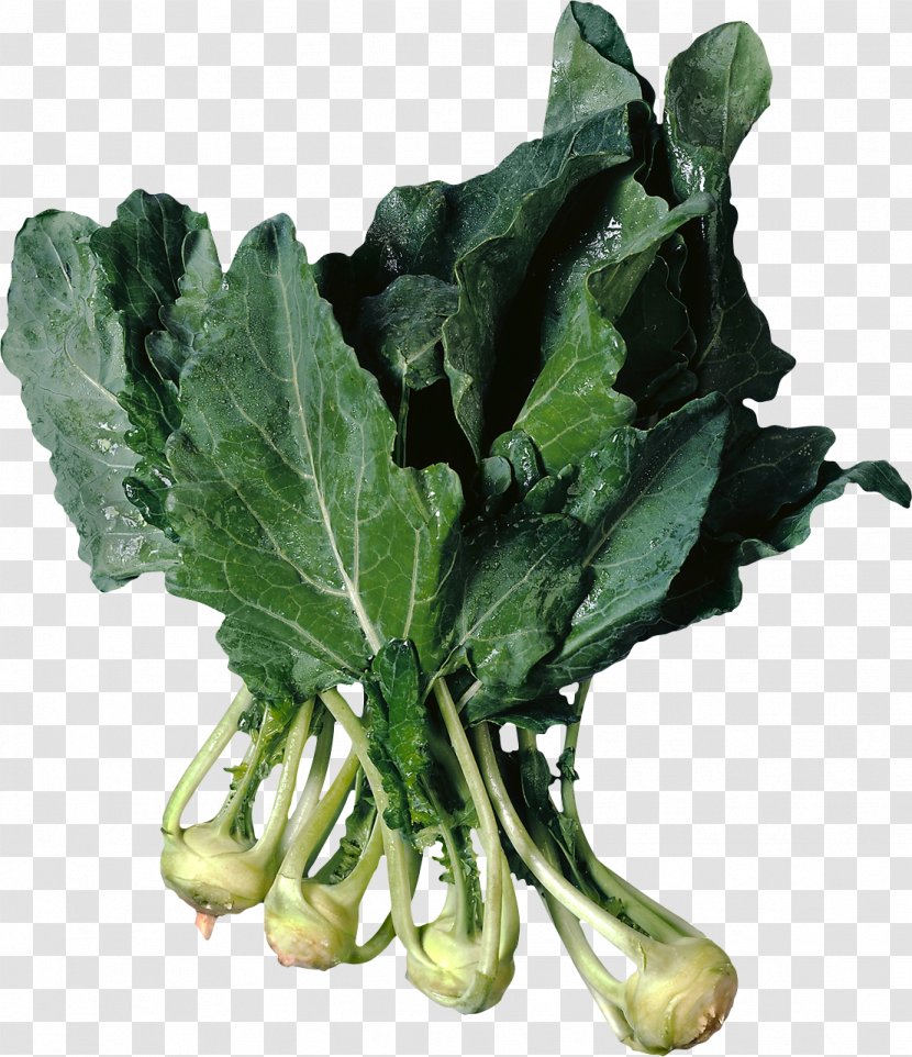 Kohlrabi Turnip Vegetable Food Collard Greens - Brassica Oleracea Gongylodes Group - Turnips Transparent PNG