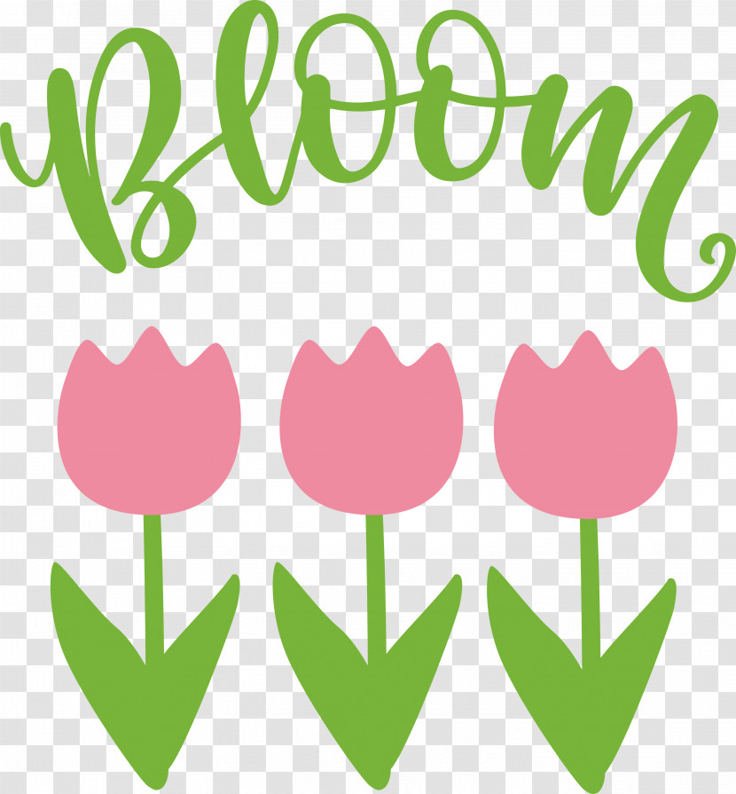 Bloom Spring Flower Transparent PNG