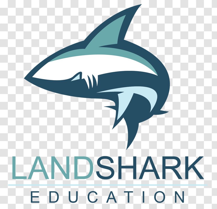 Shark Logo Brand Clip Art - Education Transparent PNG