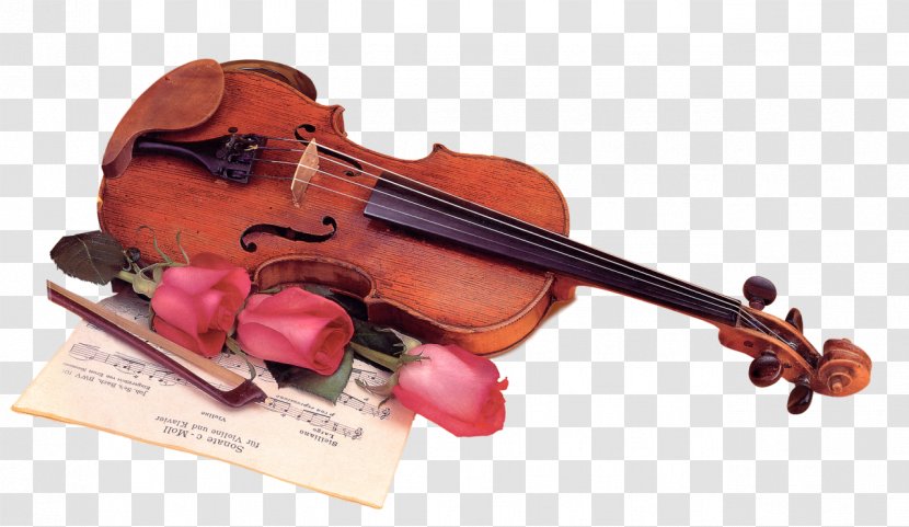 Violin Musical Instruments Composer - Watercolor Transparent PNG