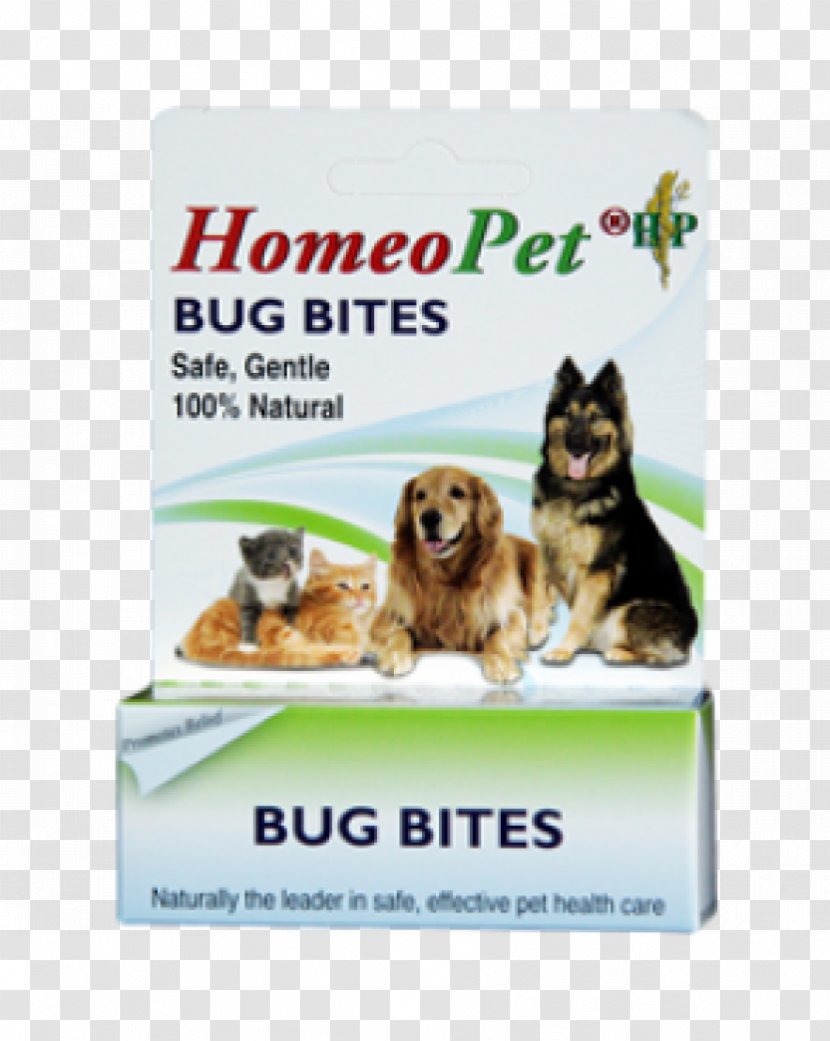 Dog Insect Bites And Stings Animal Bite Cat Allergy - Pet - Mosquito Transparent PNG