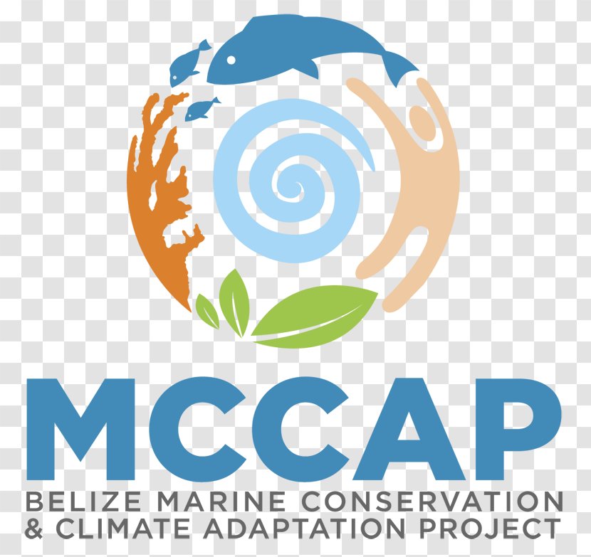 Logo Organization Belize Coastal Zone Management Authority And Institute (CZMAI) Marine Protected Area - Consultant - Fishes Transparent PNG