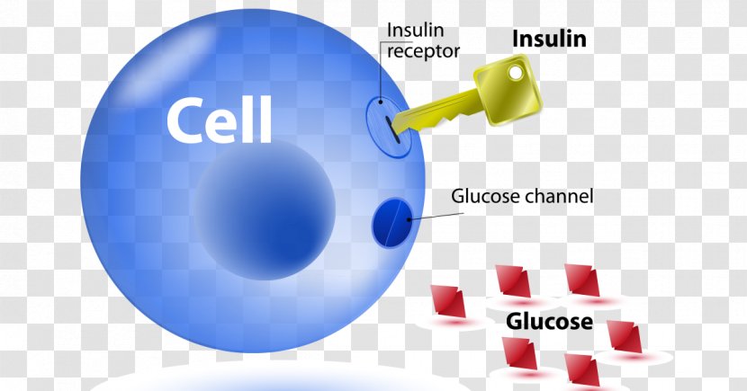 Insulin Resistance Diabetes Mellitus Type 2 1 - Door To Success Transparent PNG
