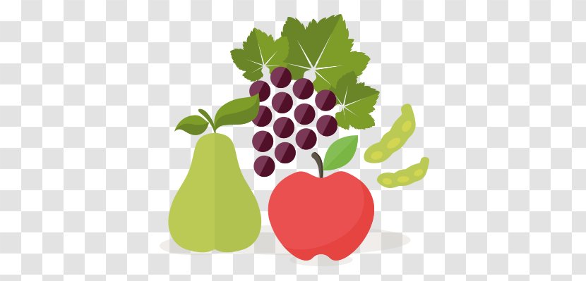 Grape Juice Vegetable Fruit - Bean Transparent PNG