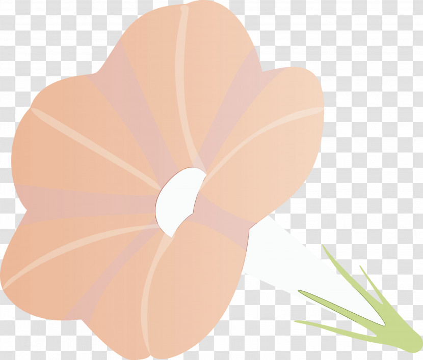 Petal Flower Plant Leaf Peach Transparent PNG