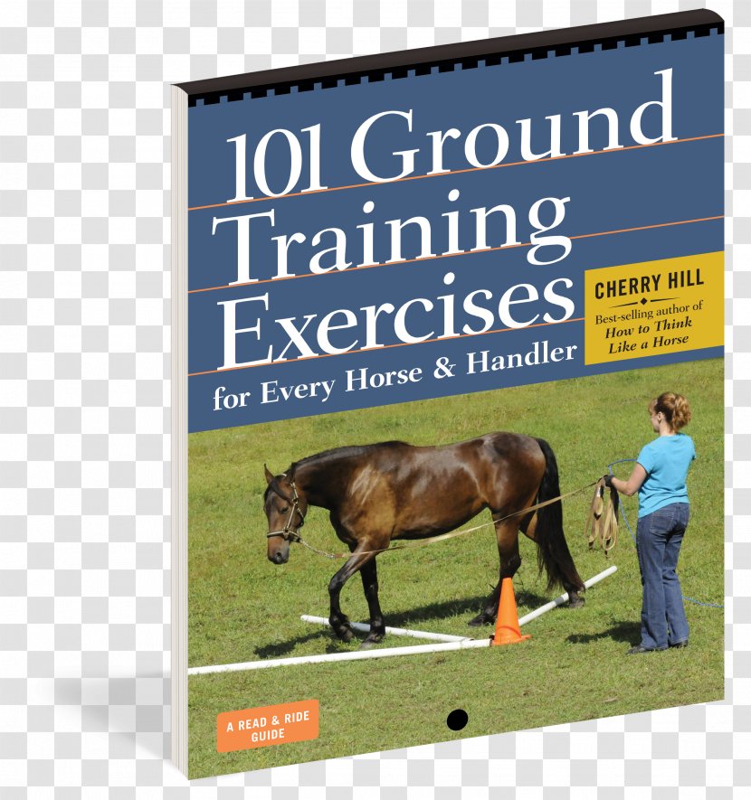 101 Ground Training Exercises For Every Horse & Handler Equestrian - Mare - Animal Husbandry Transparent PNG