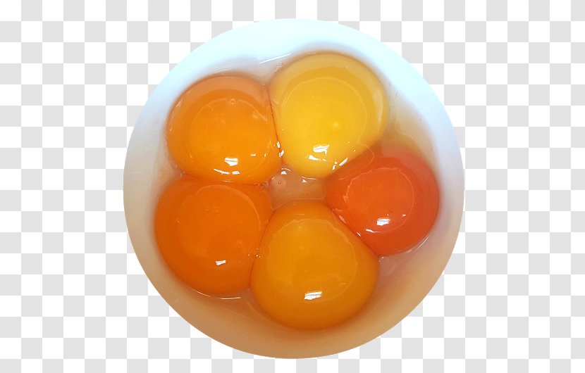 Chicken Yolk Salted Duck Egg Fried - White - Shell Transparent PNG