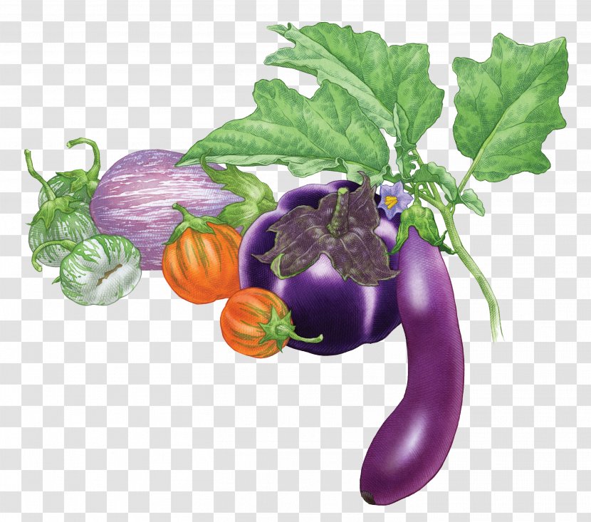 Eggplant Fruit Vegetable Tomato - Local Food - Real Transparent PNG