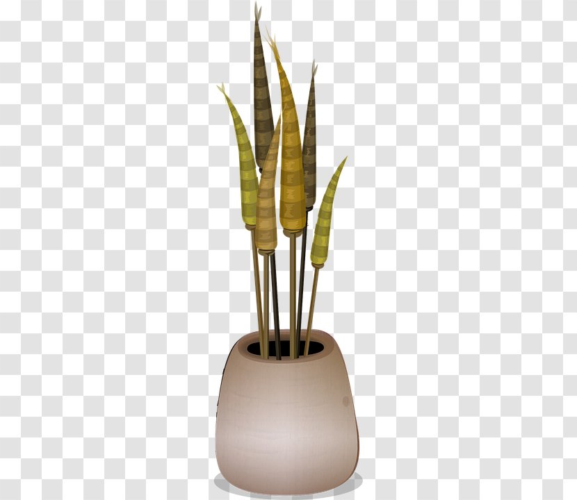 Flowerpot Houseplant - Bonsai - Plant Transparent PNG