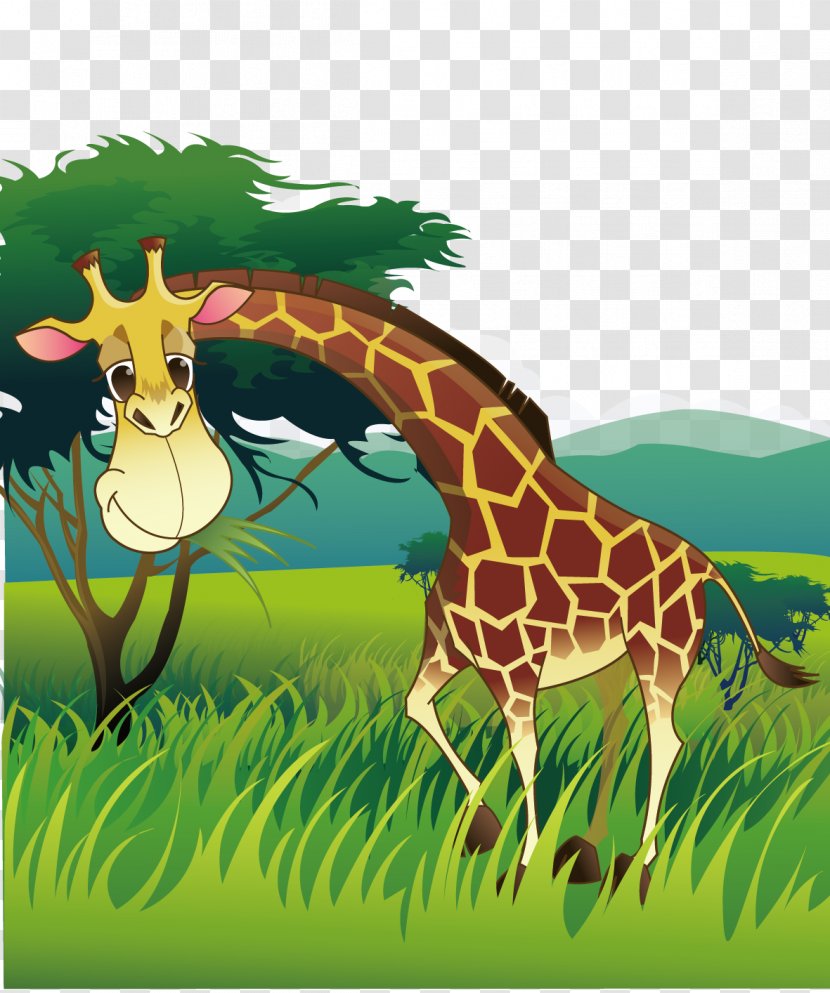 Northern Giraffe West African - Wildlife - Animal Transparent PNG