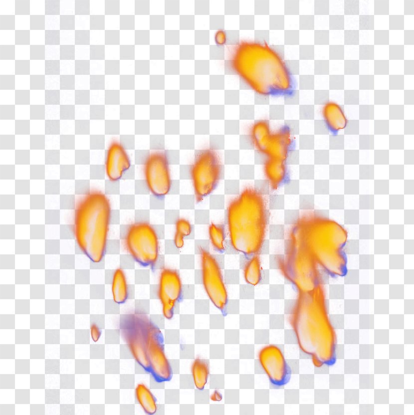 Yellow Petal Wallpaper - Fireworks Transparent PNG