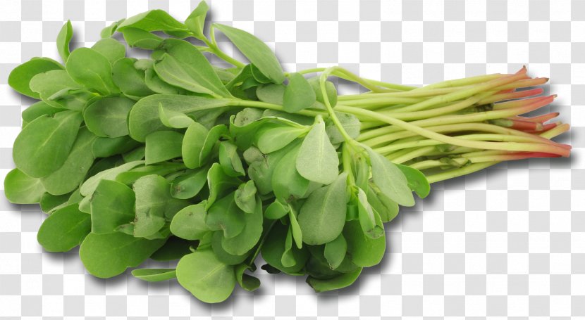 Mesclun Common Purslane Leaf Vegetable Herb - Omega3 Fatty Acids - Salade Transparent PNG