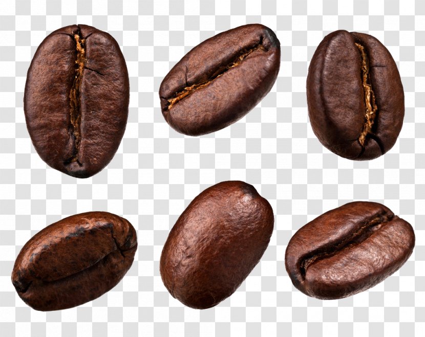 Coffee Bean Tea Cafe - Robusta - Cocoa Beans Transparent PNG