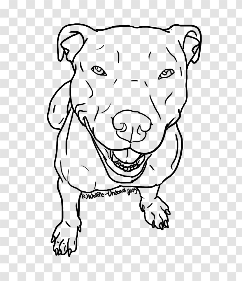 American Pit Bull Terrier Line Art Drawing Sketch - Dog Like Mammal - Pitbull Transparent PNG