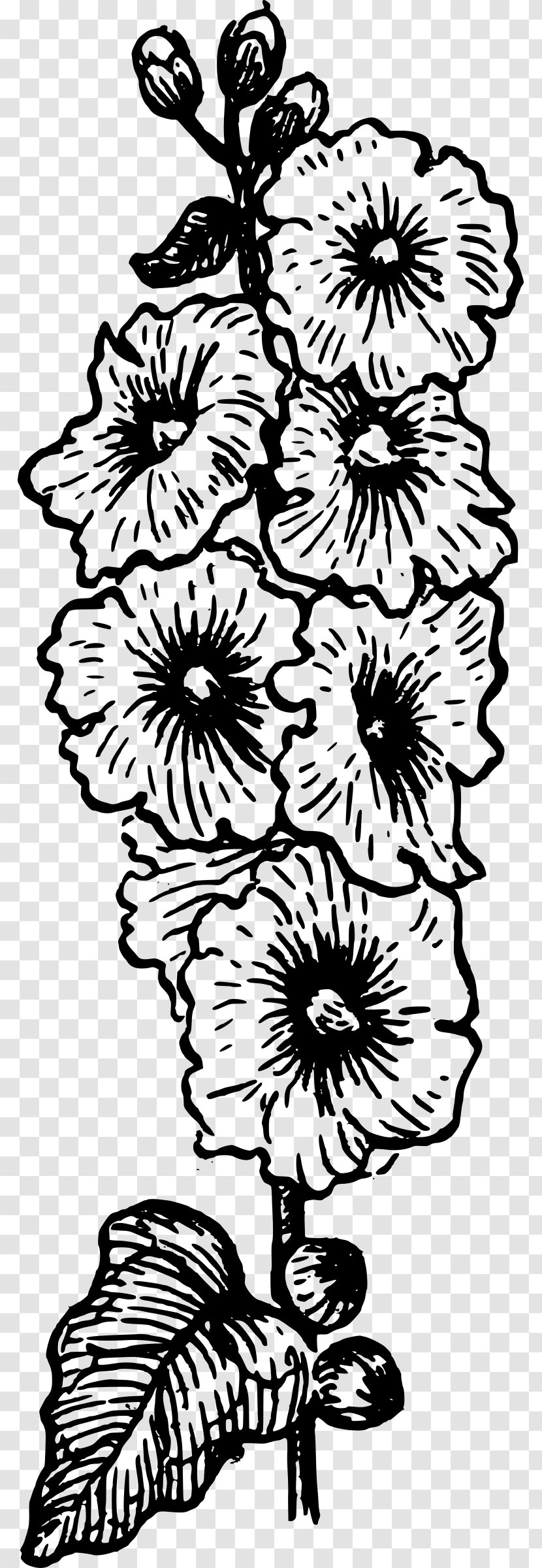 Coloring Book Alcea Rosea Drawing Clip Art - Flowering Plant - Rose Outline Transparent PNG