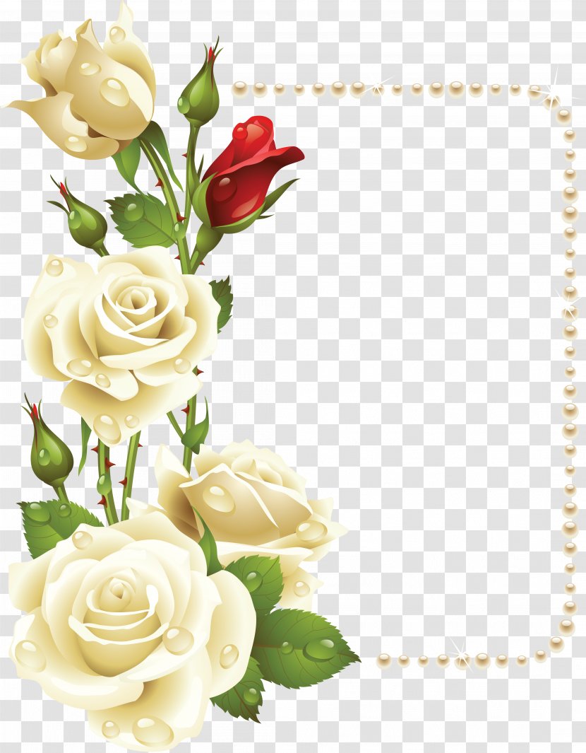Borders And Frames Rose Flower Painting Clip Art - Family - White Transparent PNG